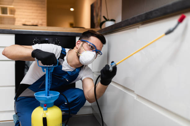 Best Pest Prevention Services  in Jackson, OH