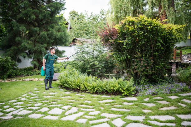 Best Ant Control Services  in Jackson, OH