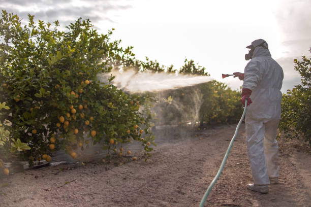 Best Insect Control  in Jackson, OH