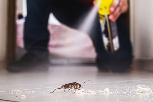 Best Best Pest Control Companies  in Jackson, OH