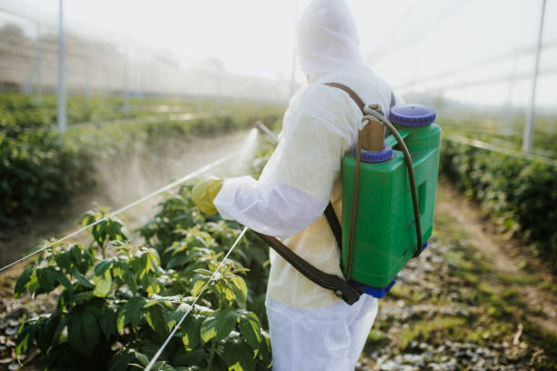 Best Exterminator Services  in Jackson, OH